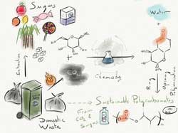 converts-sugar-to-polycarbonate