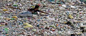 Microplastics in drinking water not hazardous at current levels, says WHO