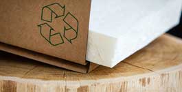Stora Enso to build pilot plant for biobased packaging foam 
