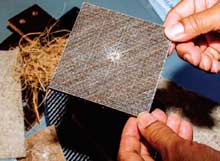 Palm-fibre Palm-fibre