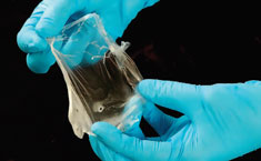 Centre-for-Biological-Resea Centre-for-Biological-Resea