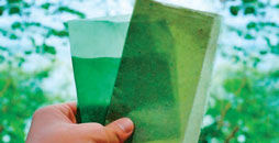 seaweed.jpg seaweed