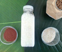 sugarcane-based-VeganBottle sugarcane-based-VeganBottle