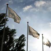 Ineos/Indaver to recycle PS in Europe Ineos/Indaver to recycle PS in Europe