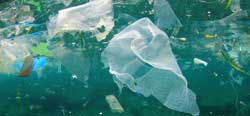  ocean plastics