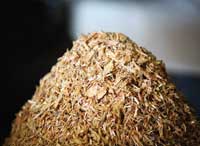 wood-fibre-based biocomposite solutions