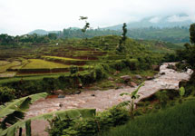 Citarum-River Citarum-River