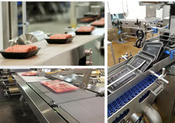 Tekni-Plex boosts manufacturing capability-food tray portfolio