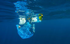 marine-litters marine-litters