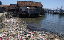 plastic-litters plastic-litters