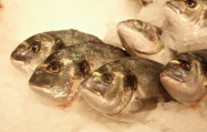 Tilapia was found to be the most contaminated Tilapia was found to be the most contaminated