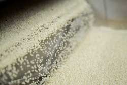 Ascend-Performance-Materials-Polymers Ascend-Performance-Materials-Polymers