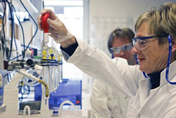 lab-researchers lab-researchers