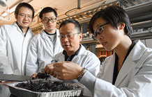 WSU-researchers WSU-researchers