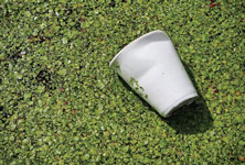 chemical-recycling-process chemical-recycling-process