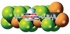 developing-fluorinated