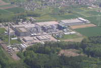 Kaisten plant